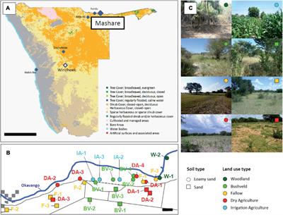 Differential Response of Acidobacteria to Water Content, Soil Type, and Land Use During an Extended Drought in African Savannah Soils